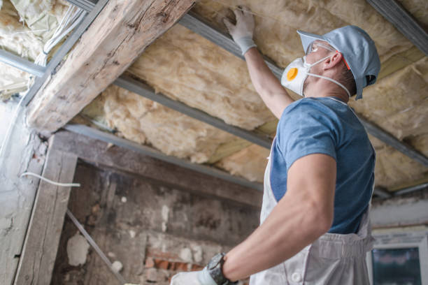 Best Geographic-Specific Insulation Services in Columbus, NM