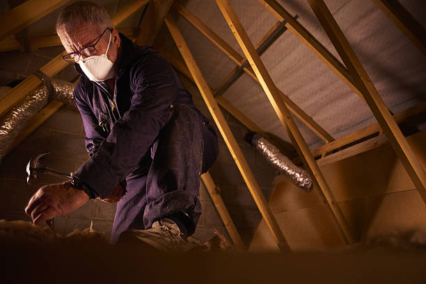 Best Eco-Friendly Insulation in Columbus, NM